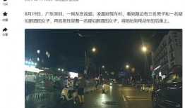 深圳爆料的视频,一窥城市繁华背后的真实故事