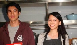 前妻爆料王力宏视频合集,揭秘婚姻内幕与情感纠葛