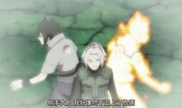 忍战小樱最全爆料视频在线观看,揭秘最全爆料视频，带你领略忍者世界的魅力