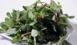 哈尔滨爆料野菜事件视频,真相与反思