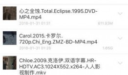 卡罗尔未删减在线观看,深度揭秘电影背后的真实故事