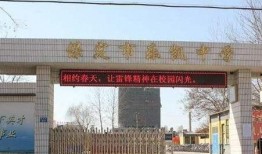 保定市乐凯最新爆料,保定市乐凯项目进展揭秘