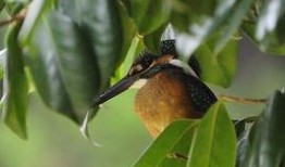 家雀在线观看,在线重温经典，笑对人生百态