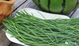 网红吃瓜在哪找,探寻热门话题的聚集地