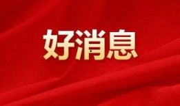 全国最新爆料新闻,揭秘热点事件背后的真相