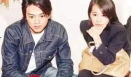 向太爆料陈晓东视频全集,揭秘事件全貌