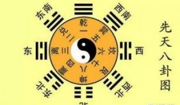 最新八卦大爆料小禾,神秘男友身份揭秘，娱乐圈再掀波澜