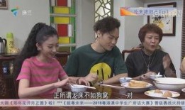 刘莹莹被爆料的视频大全,揭秘背后真相与争议