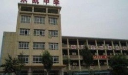 保定市乐凯最新爆料,保定市乐凯项目进展揭秘