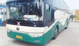 恩施大巴师傅爆料视频,揭秘真实出行困境与行业痛点