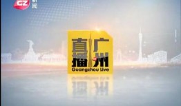 广州新闻爆料哪个效果好,揭秘最新事件，效果显著！