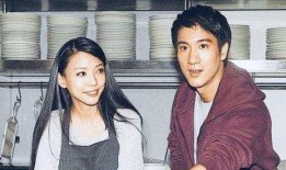 前妻爆料王力宏视频合集,揭秘婚姻内幕与情感纠葛