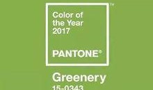 颜色2017在线观看,色彩斑斓的视觉盛宴