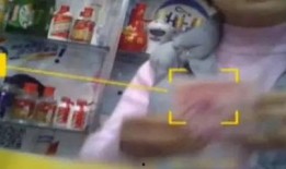 街边爆料视频大全最新版,最新版街头奇闻轶事汇编