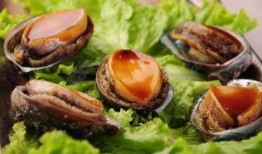 鲍鱼最新爆料图片大全