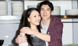 前妻爆料王力宏视频合集,揭秘婚姻内幕与情感纠葛