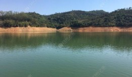 三坑水库爆料视频最新,揭秘神秘事件背后的真相