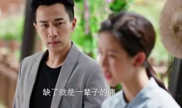 吃瓜电视剧免费观看,热门电视剧免费观看指南