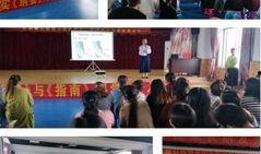 西湖幼儿园爆料新闻报道,揭秘幼儿园内幕，关注儿童教育安全