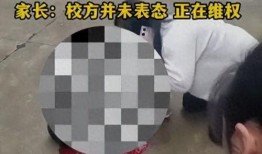 坠楼老师爆料视频,揭开教育乱象背后的真相