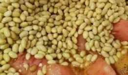 娱乐吃瓜酱地下室霉味,霉味背后的秘密