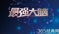 最强大脑视频在线观看