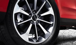 哈佛最新爆料消息视频,最新爆料视频深度解析