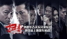 好律师的太太在线观看,揭秘律政界背后的温馨故事