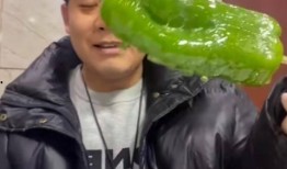 安国网红吃瓜事件视频,一场网络狂欢背后的真相揭秘