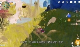 原神大佬爆料视频在哪看,观看攻略与精彩内容抢先看