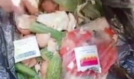 玉林腊肉爆料事件真相视频,揭秘背后真相与误解