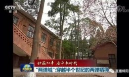 绵阳新闻头条爆料,重磅爆料揭示惊人真相！