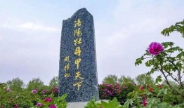 洛阳植物园爆料视频最新,探秘植物王国，邂逅自然奇观