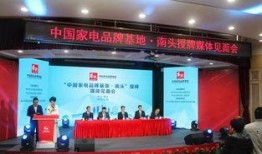 南头镇最新爆料信息公布,揭秘镇域发展新动态与亮点