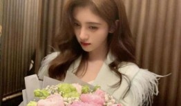 爆料明星事件鞠婧祎视频,揭秘明星幕后真相