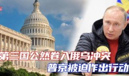 爆料俄乌冲突最新动态,战局突变，国际局势再掀波澜