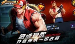 格斗天王在线观看,热血对决，巅峰对决