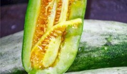 吃瓜群众大多的网红,吃瓜群众眼中的璀璨星河