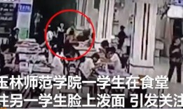 东湖斗气学生爆料事件视频,校园暴力冲突视频曝光引发热议