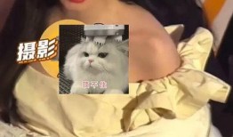 崔雪梨天涯圈内人爆料,揭秘娱乐圈不为人知的真相