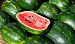 娱乐吃瓜素材在哪找到,吃瓜素材大搜集，带你一探究竟