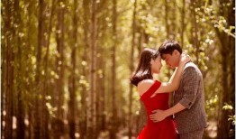 甜美情事在线观看,甜美情事在线观看导览