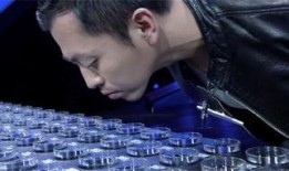 最强大脑视频在线观看