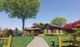 重庆小车爆料最新消息查询,最新事故现场细节及调查进展披露