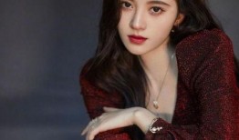 爆料明星事件鞠婧祎视频,揭秘明星幕后真相