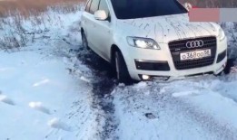 哈佛最新爆料消息视频,最新爆料视频深度解析