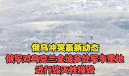 爆料俄乌冲突最新动态,战局突变，国际局势再掀波澜