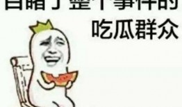 娱乐吃瓜小象小说在线阅读,揭秘娱乐圈背后的秘密
