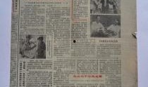 娱乐爆料报纸在哪买的,娱乐爆料报纸，独家购买指南