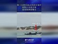 海洋最新爆料视频播放,最新爆料视频揭秘神秘海洋生物